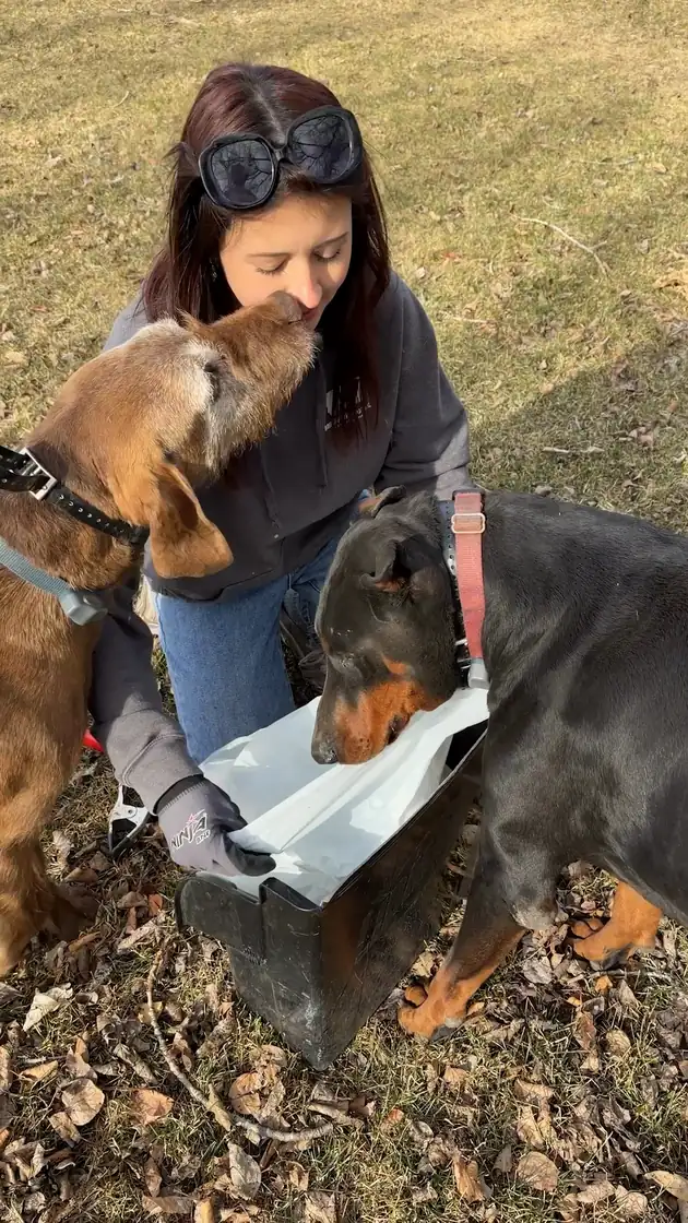 Angelina kneeling in a yard giving treats to two dogs